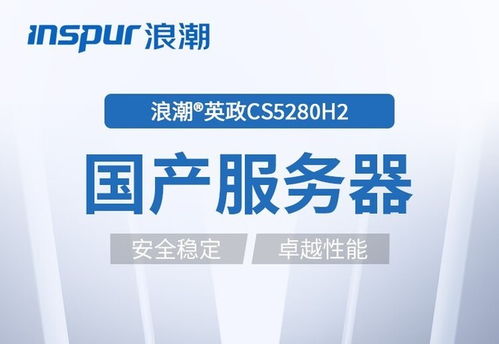 國產信創(chuàng)新選擇 浪潮CS5280H2定制型服務器深度解析與網絡技術服務價值